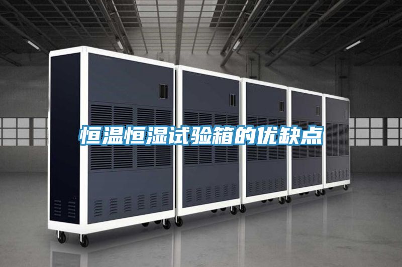 恒溫恒濕試驗箱的優(yōu)缺點(diǎn)