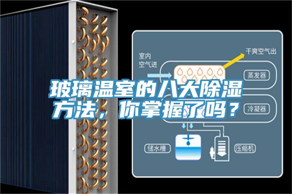 玻璃溫室的八大除濕方法，你掌握了嗎？