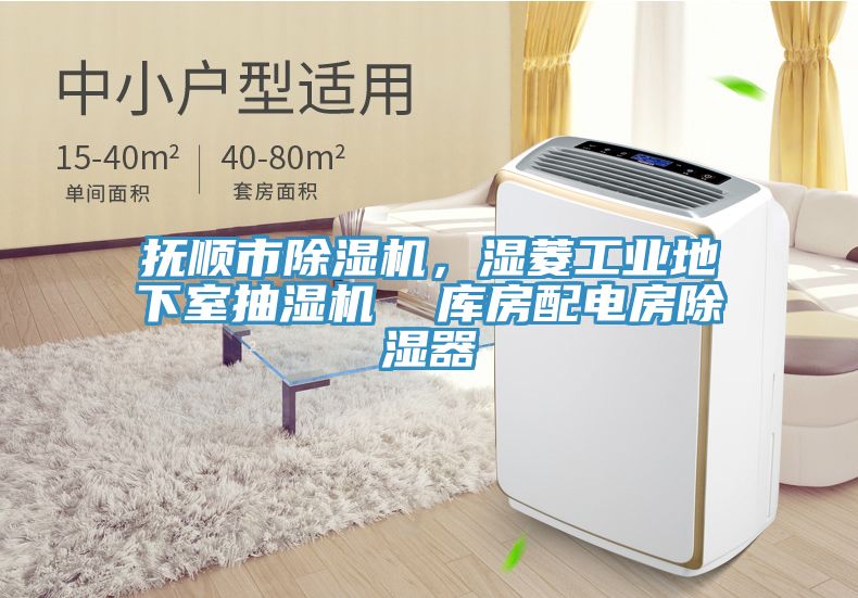 撫順市除濕機，濕菱工業(yè)地下室抽濕機  庫房配電房除濕器