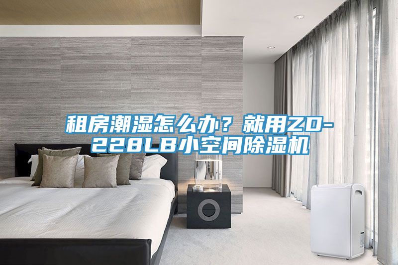 租房潮濕怎么辦？就用ZD-228LB小空間除濕機(jī)