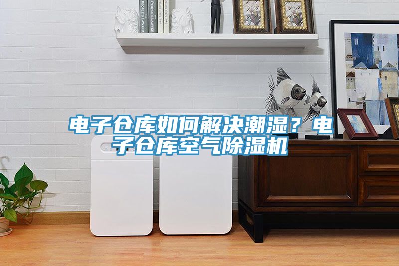 電子倉(cāng)庫(kù)如何解決潮濕？電子倉(cāng)庫(kù)空氣除濕機(jī)