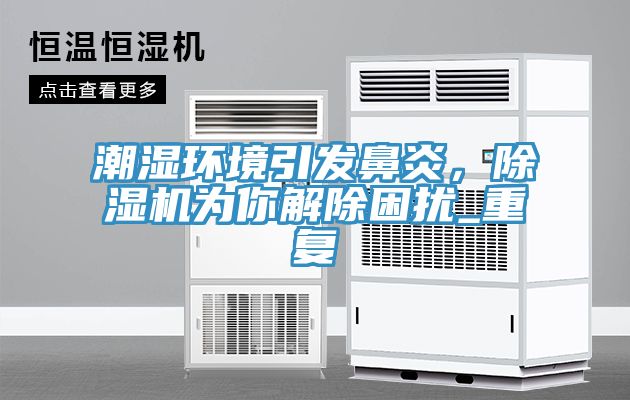 潮濕環(huán)境引發(fā)鼻炎，除濕機為你解除困擾_重復(fù)