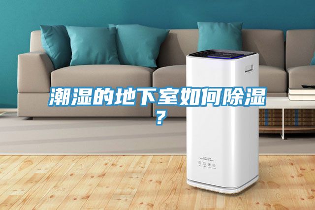 潮濕的地下室如何除濕？