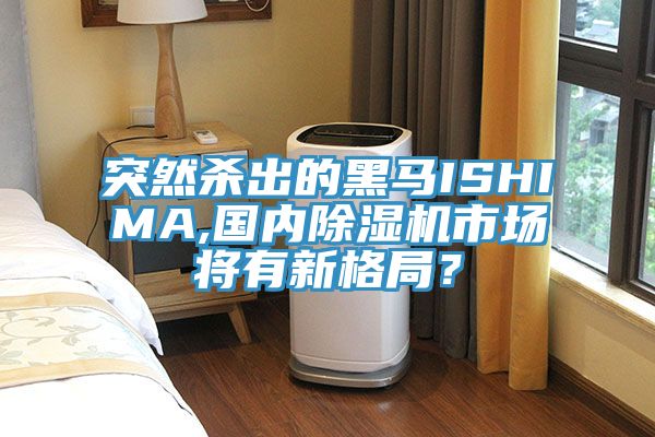 突然殺出的黑馬ISHIMA,國(guó)內(nèi)除濕機(jī)市場(chǎng)將有新格局？