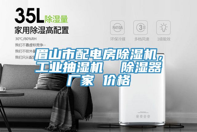 眉山市配電房除濕機(jī)，工業(yè)抽濕機(jī)  除濕器廠家 價(jià)格