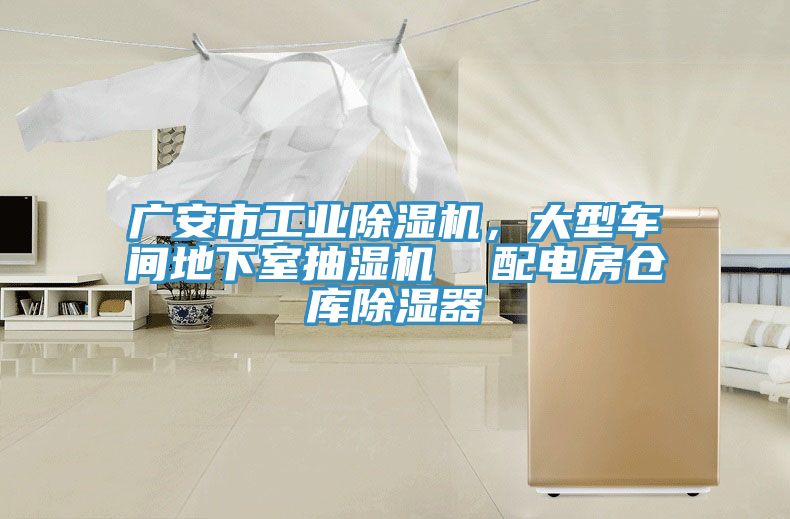 廣安市工業(yè)除濕機，大型車間地下室抽濕機  配電房倉庫除濕器