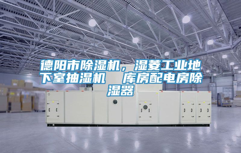 德陽市除濕機(jī)，濕菱工業(yè)地下室抽濕機(jī)  庫房配電房除濕器