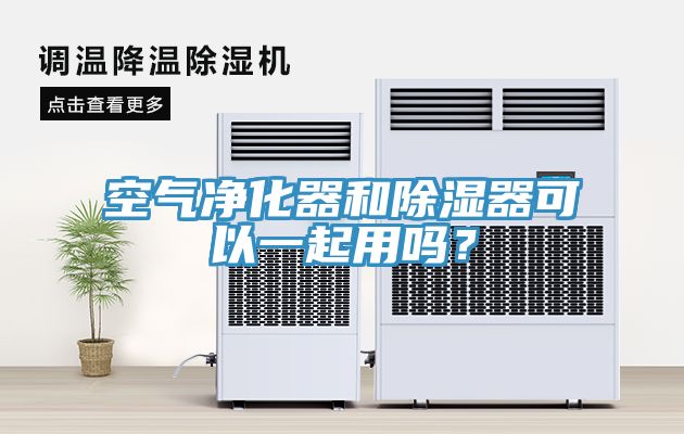 空氣凈化器和除濕器可以一起用嗎？