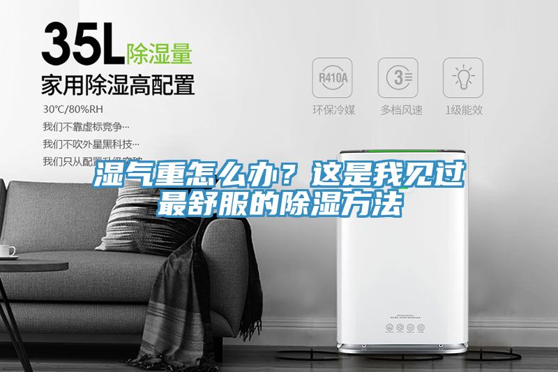 濕氣重怎么辦？這是我見過最舒服的除濕方法