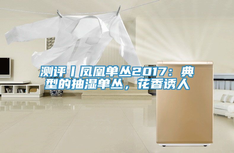 測評丨鳳凰單叢2017：典型的抽濕單叢，花香誘人