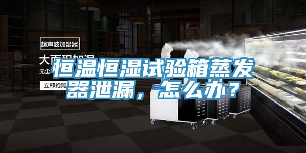 恒溫恒濕試驗箱蒸發(fā)器泄漏，怎么辦？