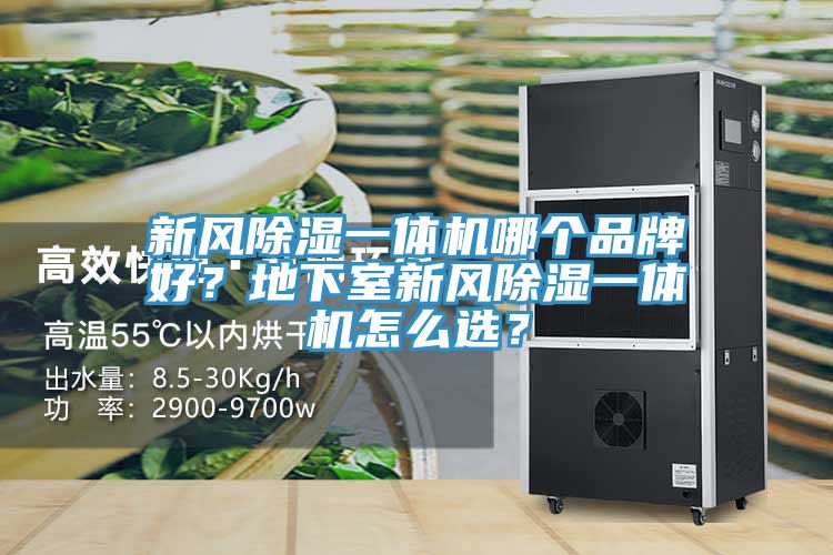 新風(fēng)除濕一體機(jī)哪個(gè)品牌好？地下室新風(fēng)除濕一體機(jī)怎么選？
