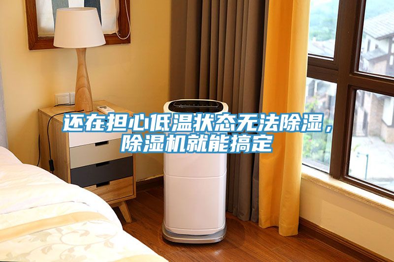 還在擔(dān)心低溫狀態(tài)無法除濕，除濕機(jī)就能搞定