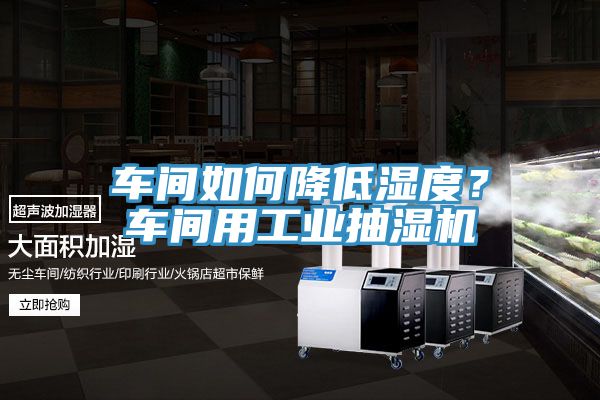 車(chē)間如何降低濕度？車(chē)間用工業(yè)抽濕機(jī)