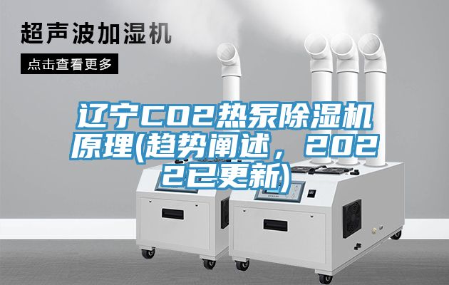 遼寧CO2熱泵除濕機原理(趨勢闡述，2022已更新)