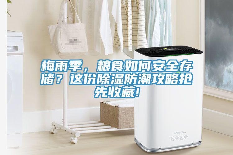 梅雨季，糧食如何安全存儲？這份除濕防潮攻略搶先收藏!