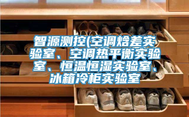 智源測控(空調(diào)焓差實驗室、空調(diào)熱平衡實驗室、恒溫恒濕實驗室、冰箱冷柜實驗室