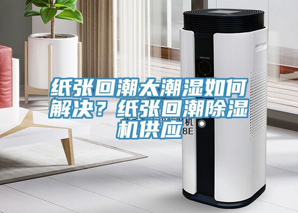 紙張回潮太潮濕如何解決？紙張回潮除濕機(jī)供應(yīng)