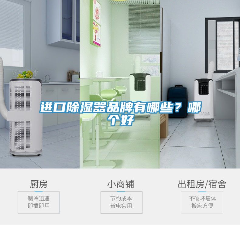 進(jìn)口除濕器品牌有哪些？哪個(gè)好