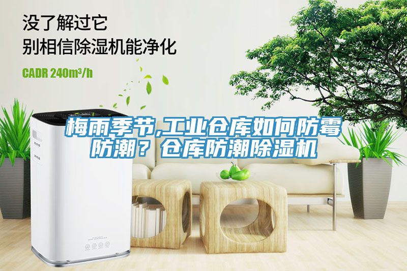 梅雨季節(jié),工業(yè)倉(cāng)庫(kù)如何防霉防潮？倉(cāng)庫(kù)防潮除濕機(jī)
