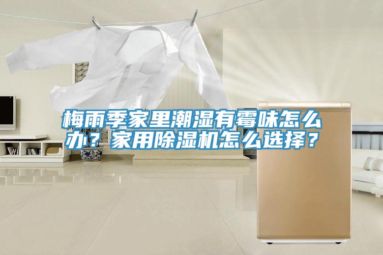 梅雨季家里潮濕有霉味怎么辦？家用除濕機(jī)怎么選擇？