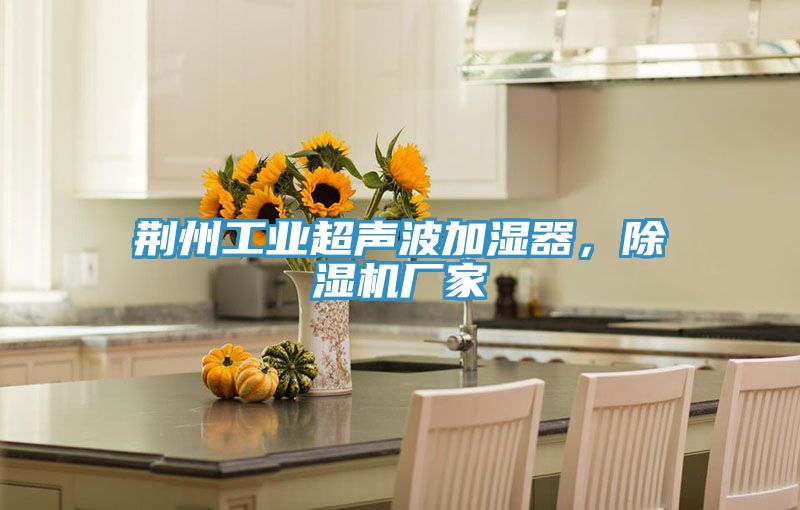 荊州工業(yè)超聲波加濕器，除濕機(jī)廠家
