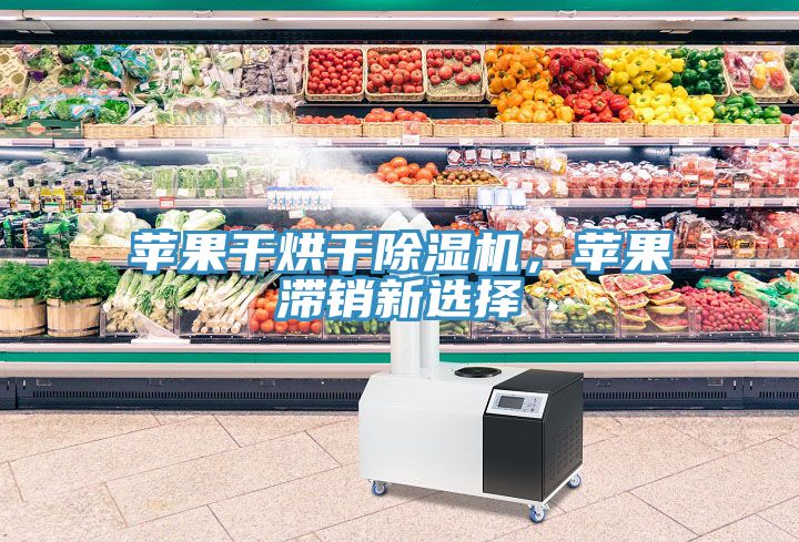 蘋果干烘干除濕機(jī)，蘋果滯銷新選擇