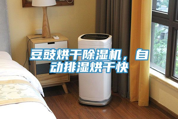 豆豉烘干除濕機，自動排濕烘干快
