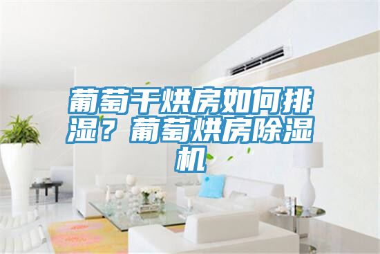 葡萄干烘房如何排濕？葡萄烘房除濕機