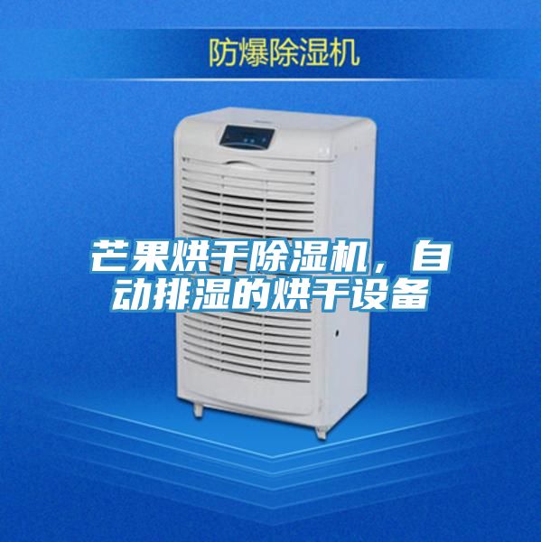 芒果烘干除濕機，自動排濕的烘干設(shè)備