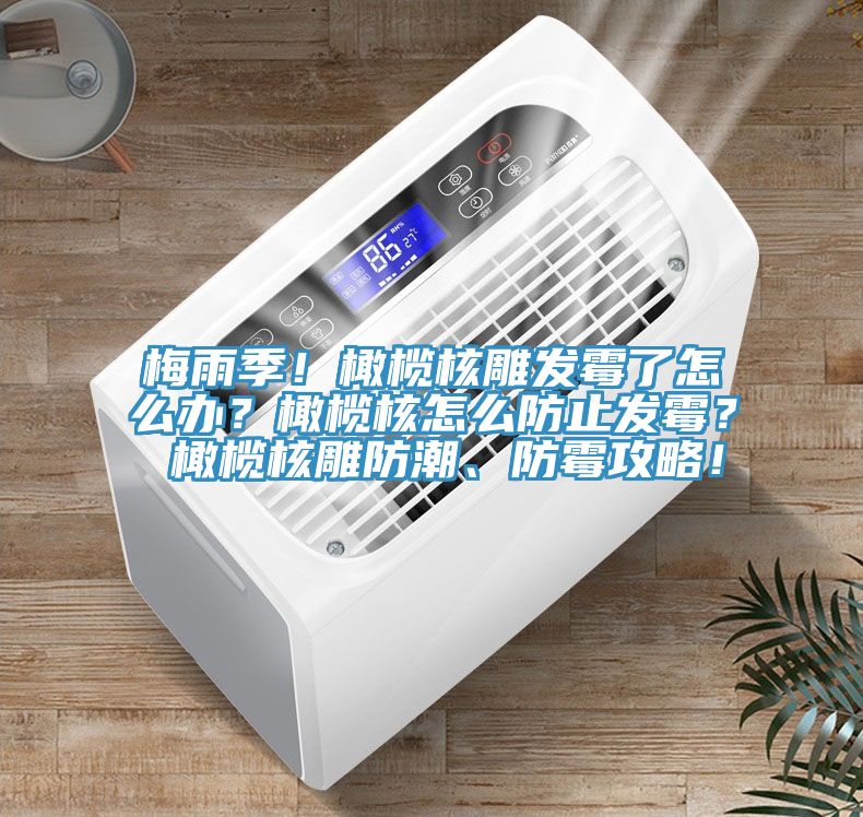 梅雨季！橄欖核雕發(fā)霉了怎么辦？橄欖核怎么防止發(fā)霉？ 橄欖核雕防潮、防霉攻略！