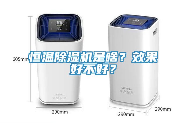 恒溫除濕機是啥？效果好不好？
