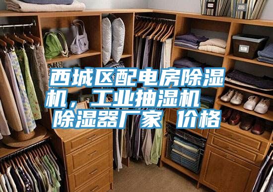 西城區(qū)配電房除濕機(jī)，工業(yè)抽濕機(jī)  除濕器廠家 價(jià)格