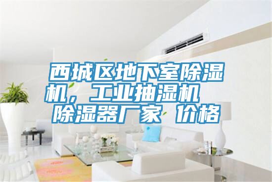 西城區(qū)地下室除濕機(jī)，工業(yè)抽濕機(jī)  除濕器廠家 價(jià)格