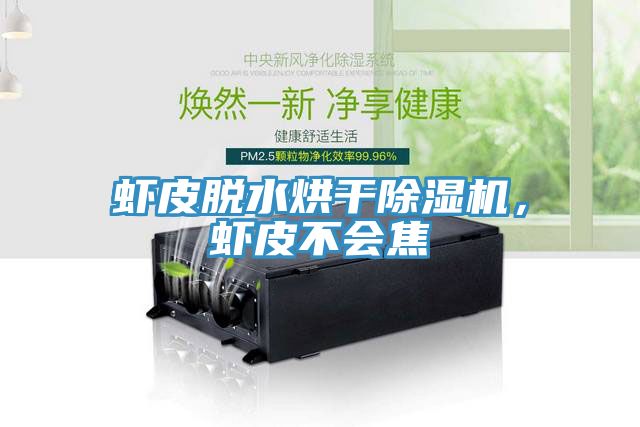 蝦皮脫水烘干除濕機(jī)，蝦皮不會焦