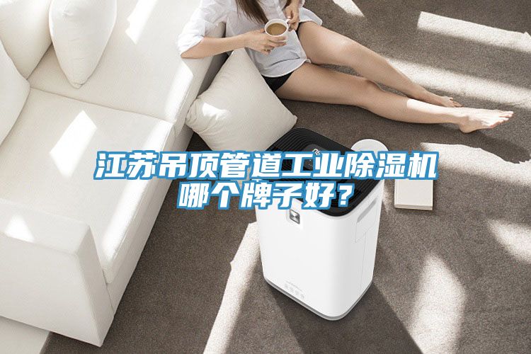 江蘇吊頂管道工業(yè)除濕機哪個牌子好？