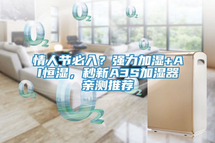 情人節(jié)必入？強(qiáng)力加濕+AI恒濕，秒新A3S加濕器親測(cè)推薦