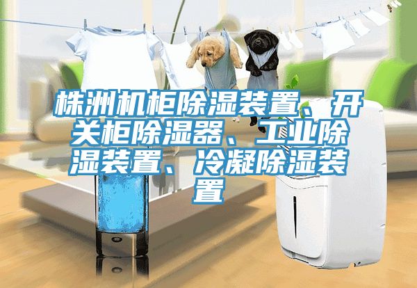 株洲機柜除濕裝置、開關(guān)柜除濕器、工業(yè)除濕裝置、冷凝除濕裝置
