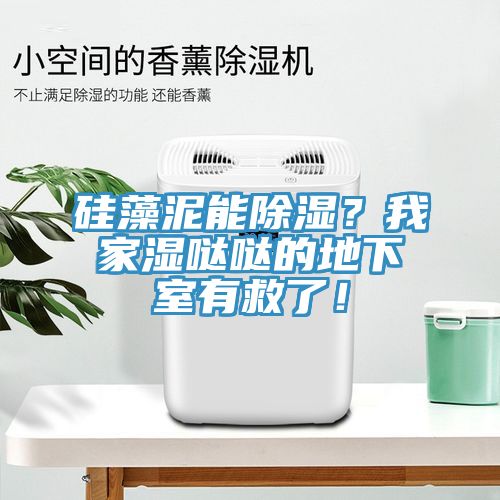 硅藻泥能除濕？我家濕噠噠的地下室有救了！