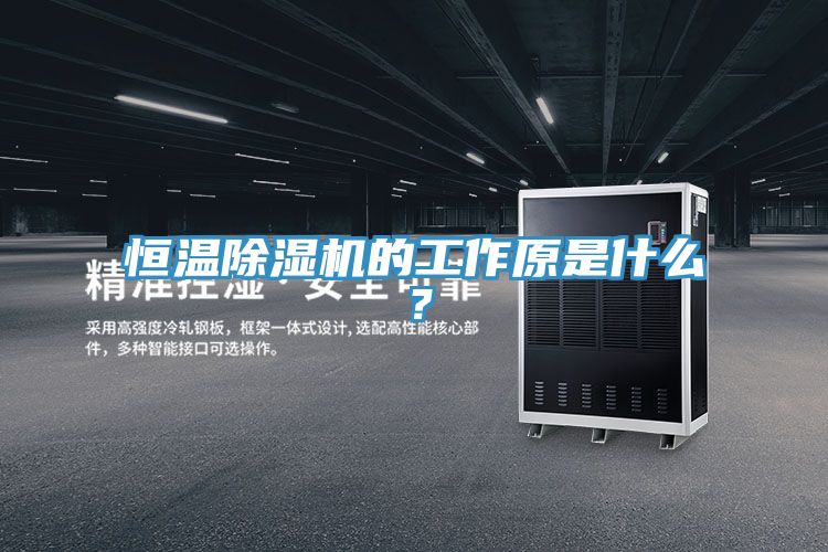 恒溫除濕機的工作原是什么？