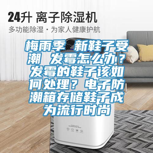 梅雨季 新鞋子受潮 發(fā)霉怎么辦？發(fā)霉的鞋子該如何處理？電子防潮箱存儲鞋子成為流行時(shí)尚