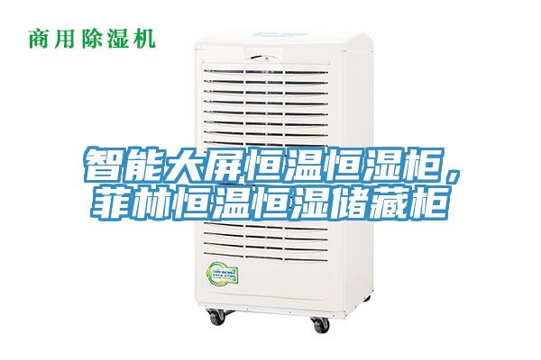 智能大屏恒溫恒濕柜，菲林恒溫恒濕儲(chǔ)藏柜