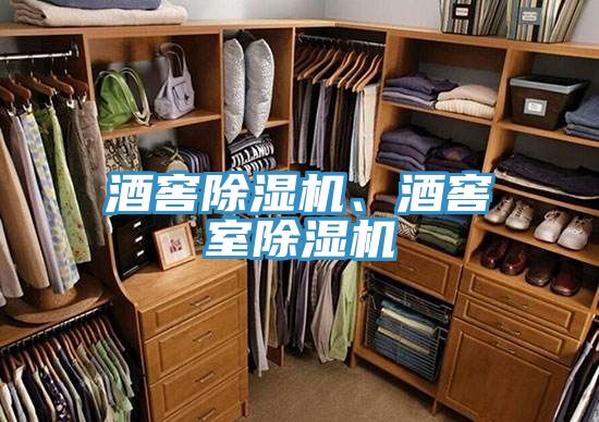 酒窖除濕機(jī)、酒窖室除濕機(jī)