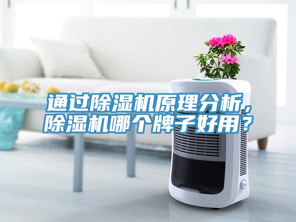 通過除濕機(jī)原理分析，除濕機(jī)哪個牌子好用？