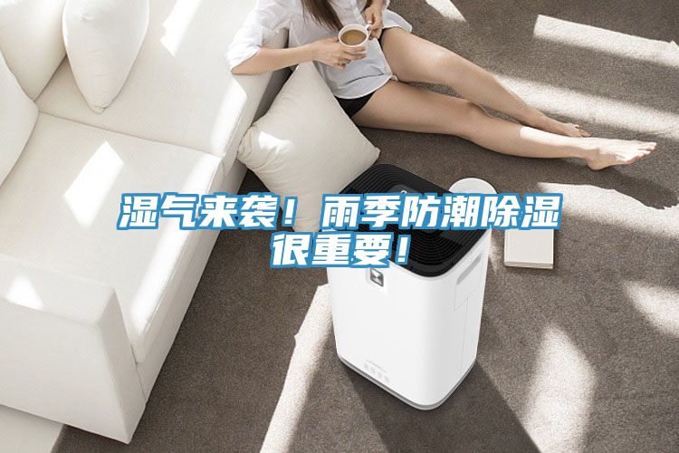 濕氣來襲！雨季防潮除濕很重要！