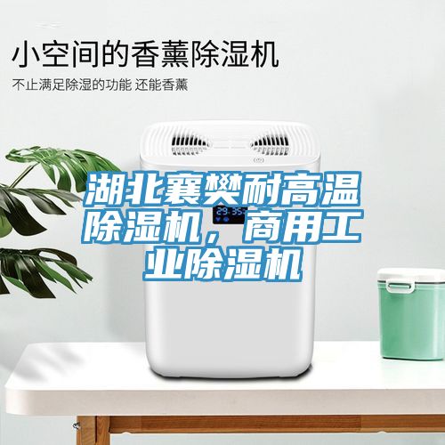湖北襄樊耐高溫除濕機(jī)，商用工業(yè)除濕機(jī)