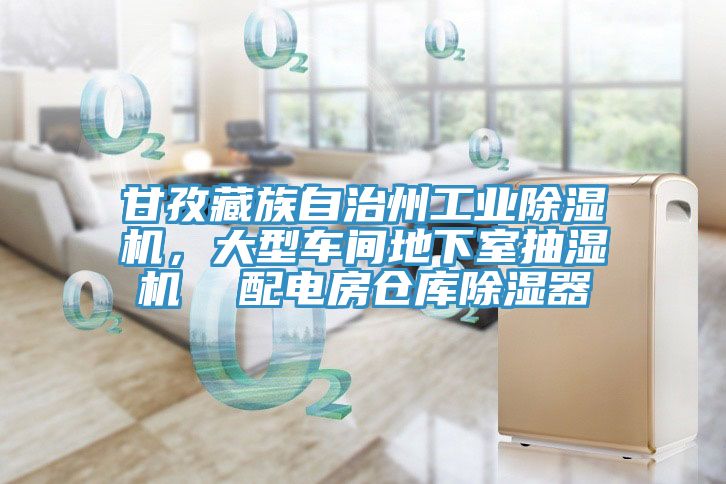 甘孜藏族自治州工業(yè)除濕機(jī)，大型車間地下室抽濕機(jī)  配電房倉庫除濕器