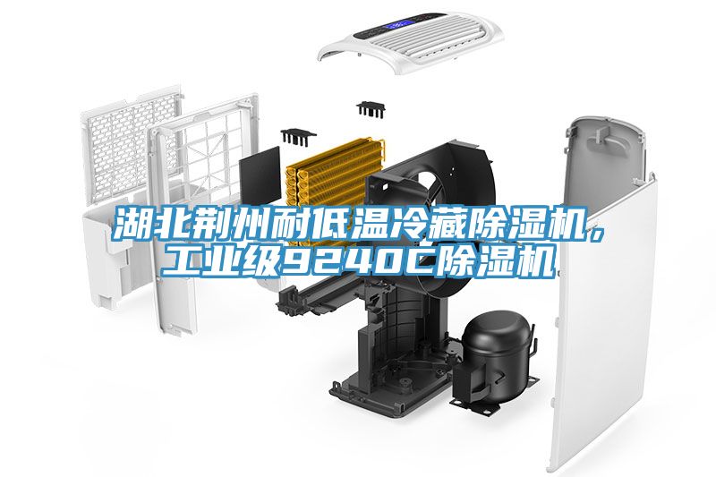 湖北荊州耐低溫冷藏除濕機(jī)，工業(yè)級(jí)9240C除濕機(jī)