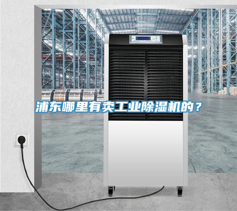 浦東哪里有賣工業(yè)除濕機(jī)的？
