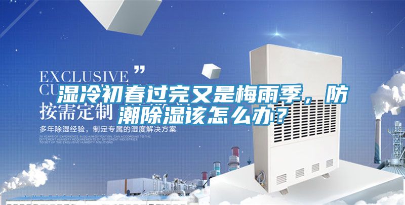 濕冷初春過完又是梅雨季，防潮除濕該怎么辦？